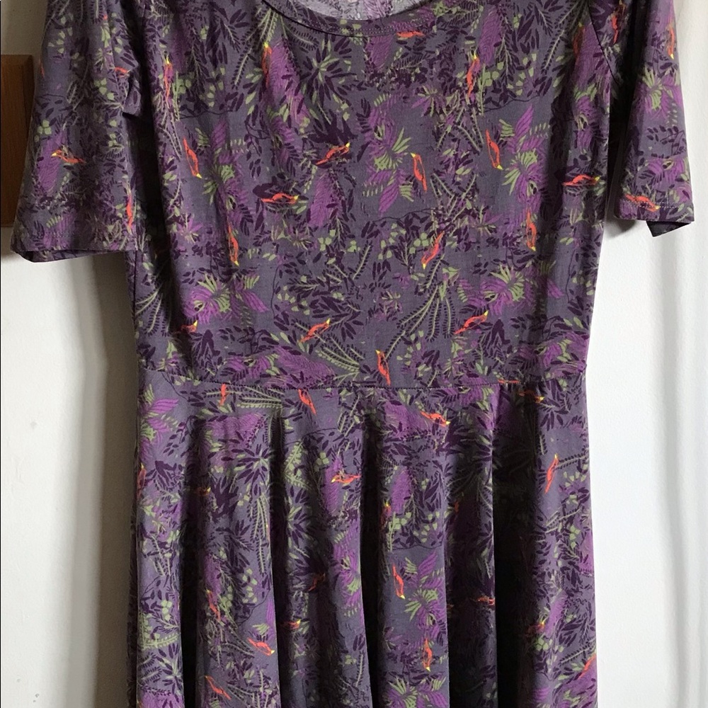 LuLaRoe Nicole Dress Sz XL